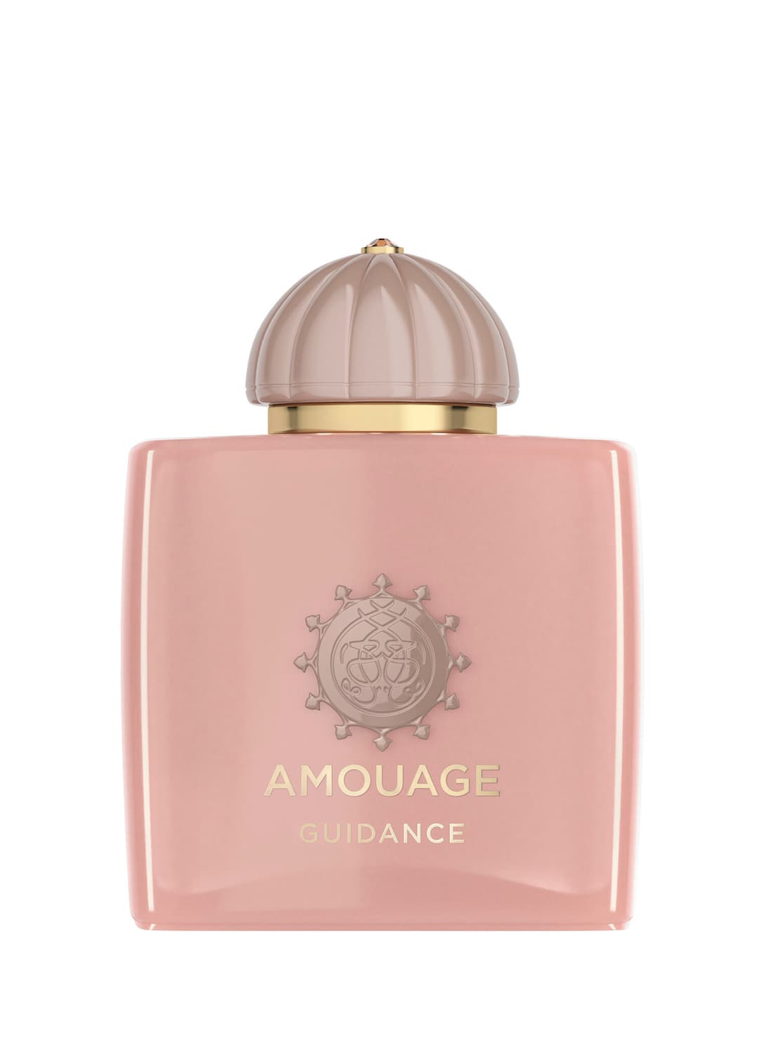 Amouage Guidance Edp 100ml