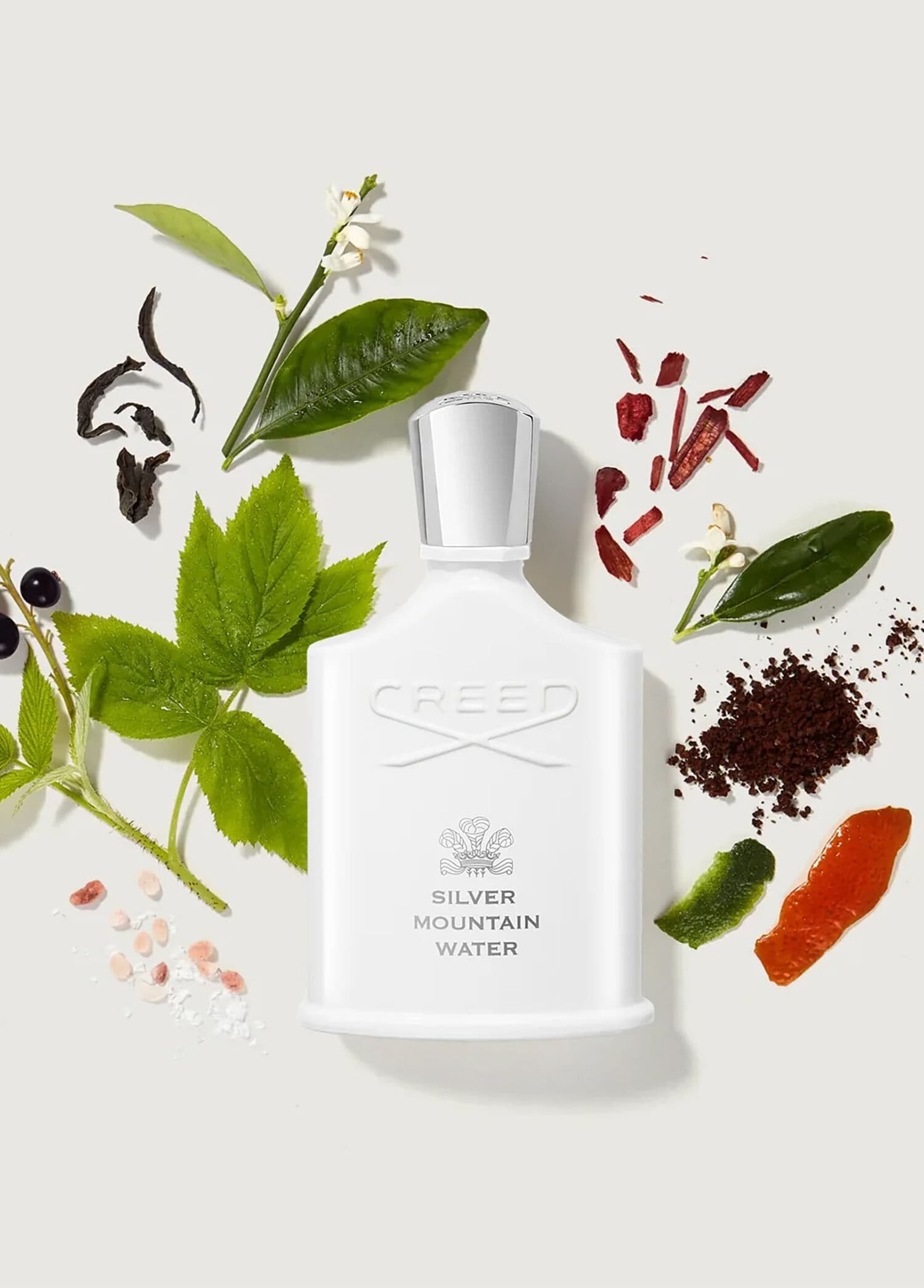 Creed Silver Mountain Water Eau De Parfum 100 ml tester görsel 2, 2/4