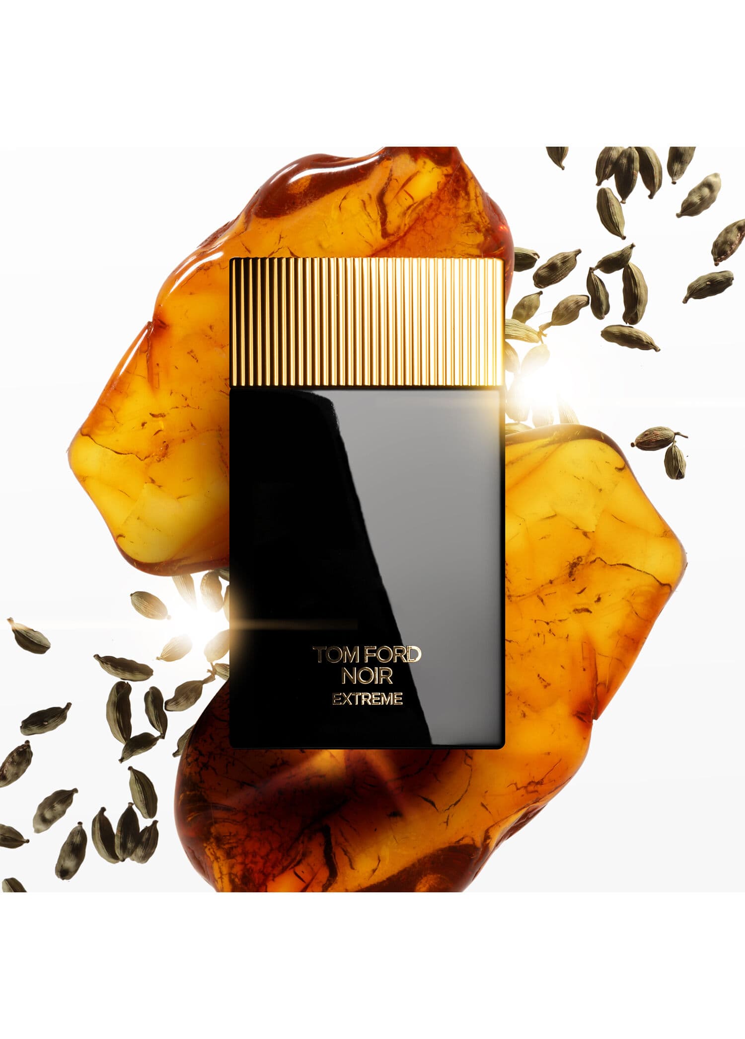 Tom Ford Noir Extreme EDP 100ML Erkek Parfüm görsel 3, 3/3