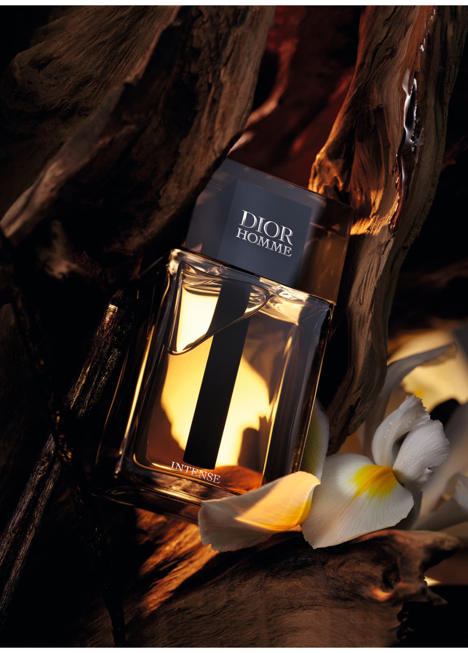 Christian Dior Homme İntense Edp 100ml Erkek Tester Parfüm görsel 3, 3/4