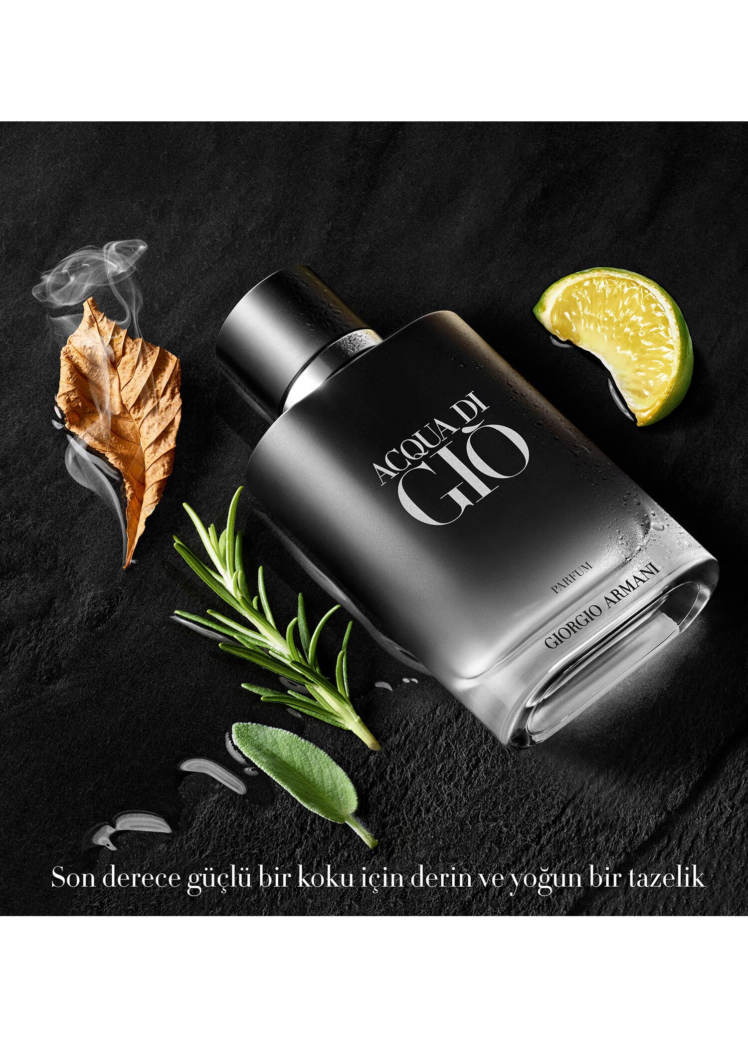 Giorgio Armani Acqua Di Gio Profumo 100ml Erkek Tester Parfüm görsel 2, 2/4