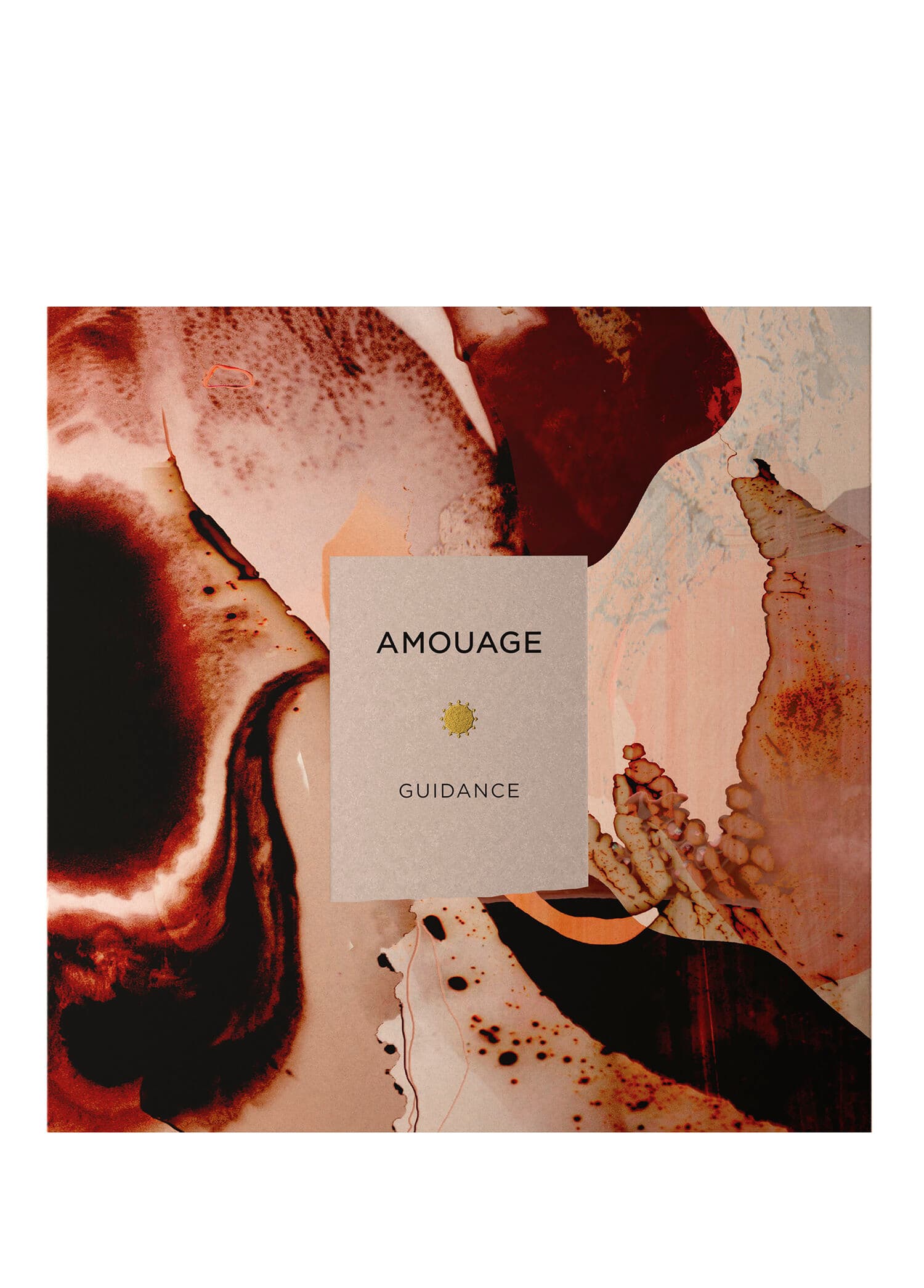 Amouage Guidance Edp 100ml görsel 2, 2/4