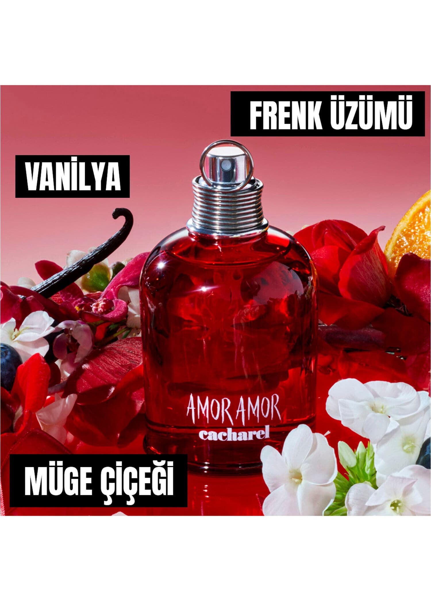 Cacharel Amor Amor Edt 100ml Bayan Tester Parfüm görsel 4, 4/4