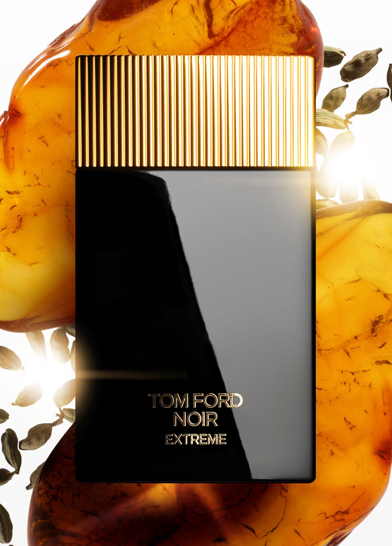 Tom Ford Noir Extreme EDP 100ML Erkek Parfüm görsel 2, 2/3