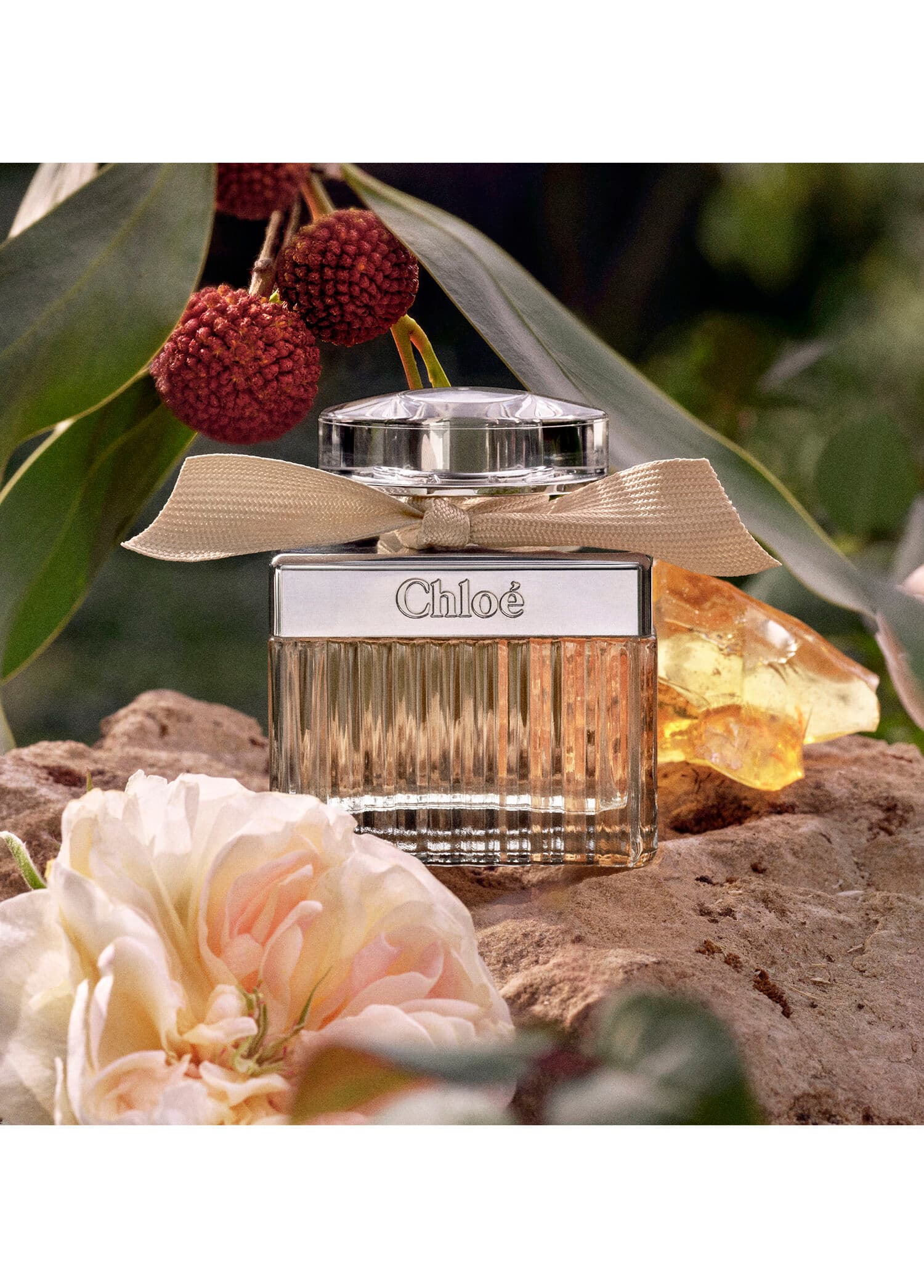 Chloe Signature Eau De Parfum 75ml Bayan Tester Parfüm görsel 2, 2/4
