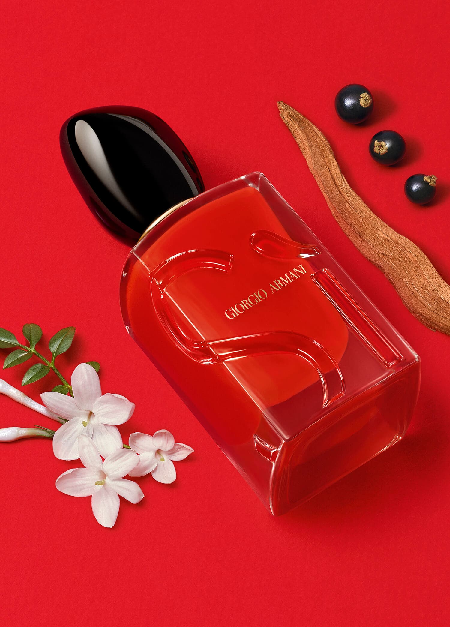 Giorgio Armani Si Passione 100ml Edp Bayan Tester Parfüm görsel 3, 3/4
